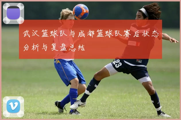 武汉篮球队与成都篮球队赛后状态分析与复盘总结