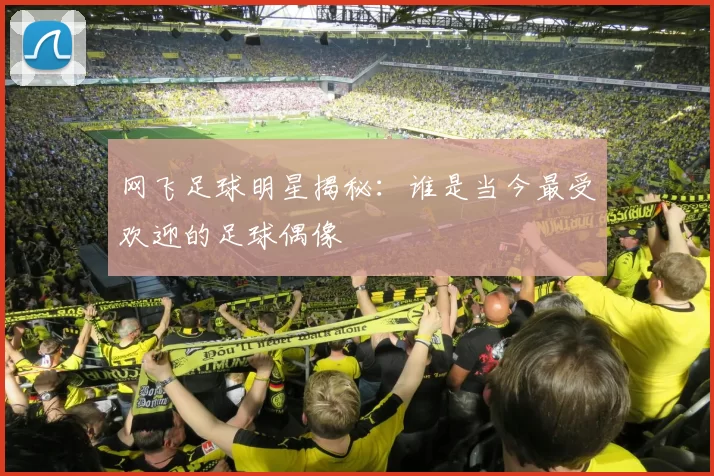 网飞足球明星揭秘：谁是当今最受欢迎的足球偶像