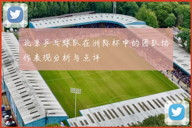 北京乒乓球队在洲际杯中的团队协作表现分析与点评