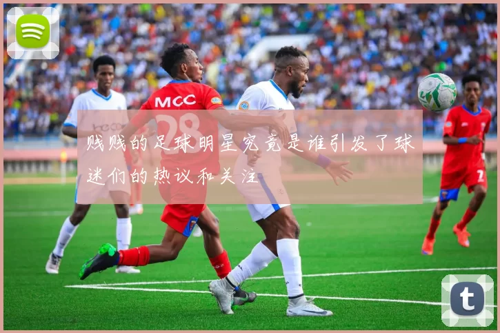 贱贱的足球明星究竟是谁引发了球迷们的热议和关注