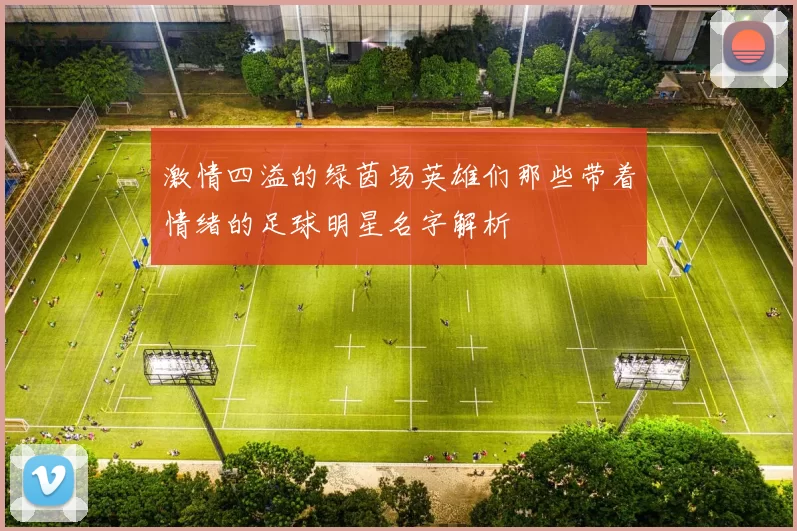 激情四溢的绿茵场英雄们那些带着情绪的足球明星名字解析