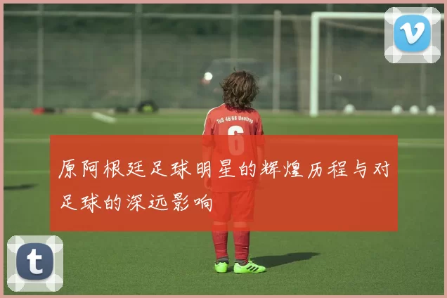 原阿根廷足球明星的辉煌历程与对足球的深远影响