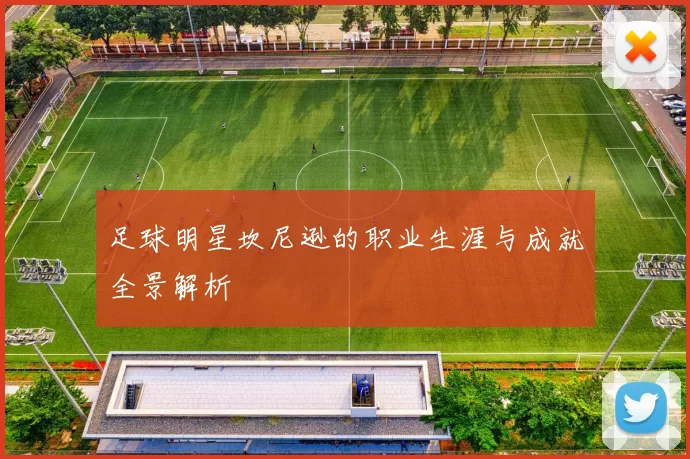 足球明星坎尼逊的职业生涯与成就全景解析