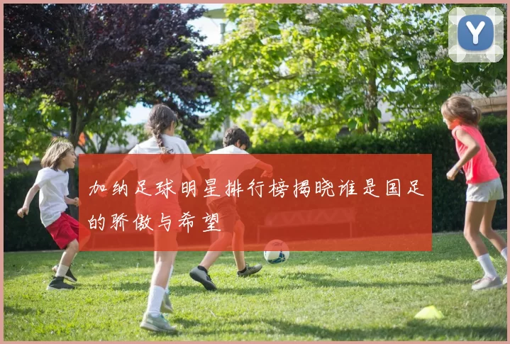 加纳足球明星排行榜揭晓谁是国足的骄傲与希望