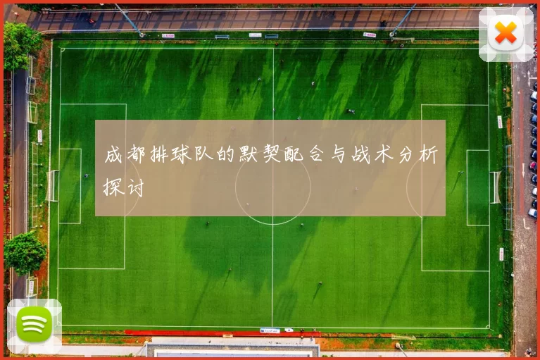 成都排球队的默契配合与战术分析探讨