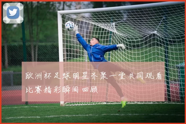 欧洲杯足球明星齐聚一堂共同观看比赛精彩瞬间回顾