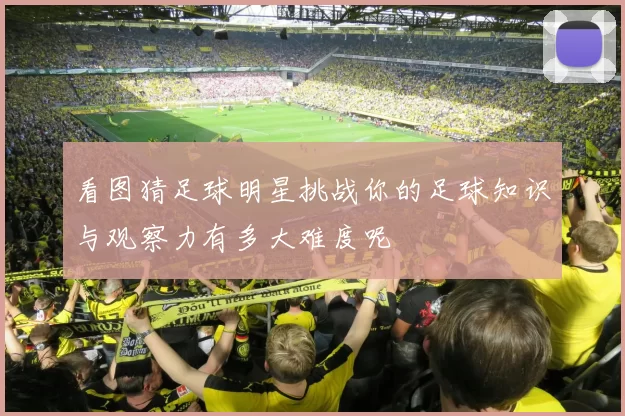 看图猜足球明星挑战你的足球知识与观察力有多大难度呢