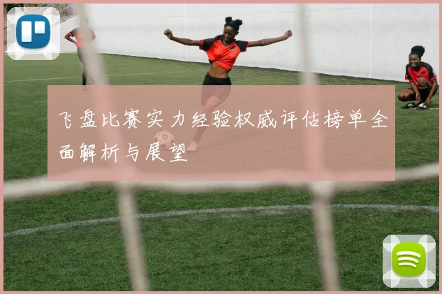 飞盘比赛实力经验权威评估榜单全面解析与展望