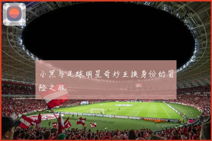 小黑与足球明星奇妙互换身份的冒险之旅