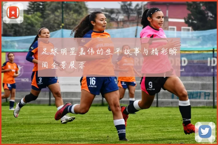 足球明星嘉伟的生平故事与精彩瞬间全景展示