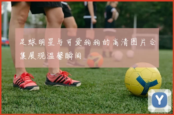 足球明星与可爱狗狗的高清图片合集展现温馨瞬间
