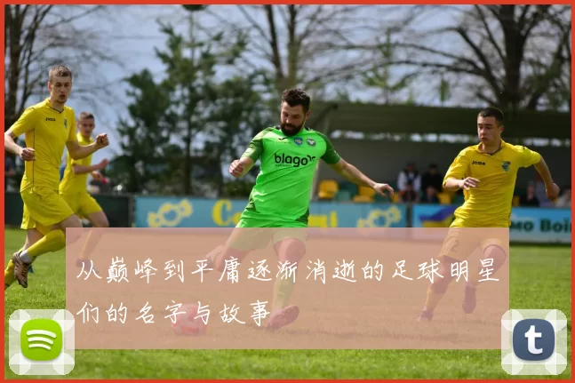 从巅峰到平庸逐渐消逝的足球明星们的名字与故事