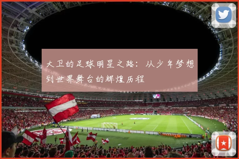 大卫的足球明星之路：从少年梦想到世界舞台的辉煌历程