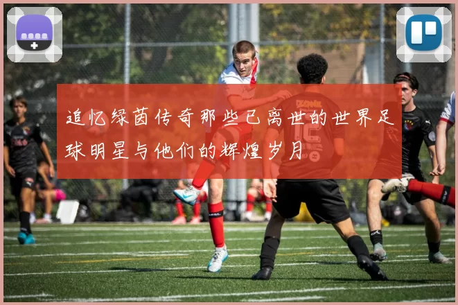 追忆绿茵传奇那些已离世的世界足球明星与他们的辉煌岁月